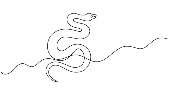 Snake outline self drawing animation. Animated line on white background, Deadly black mamba mascot concept for dangerous snake,  Full length single line animation, Deadly black mamba mascot concept.