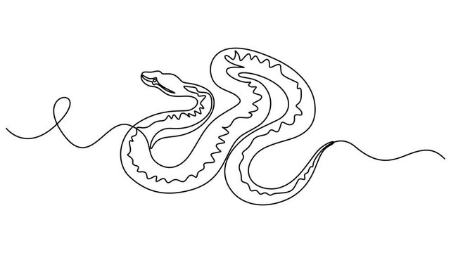 Snake outline self drawing animation. Animated line on white background, Deadly black mamba mascot concept for dangerous snake,  Full length single line animation, Deadly black mamba mascot concept.