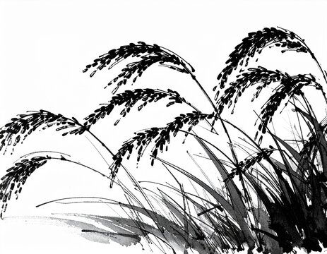 水墨画で描かれた豊かに実る稲穂のイラスト｜和風・手描き墨絵素材 | Traditional Japanese ink wash painting sumi-e illustration of ripe ears of rice on white background