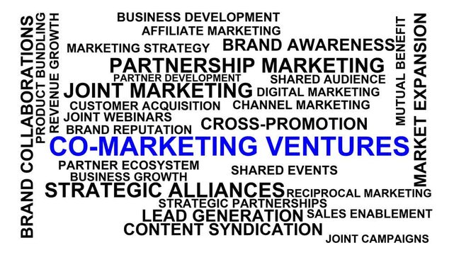 Co-Marketing Ventures Word Cloud