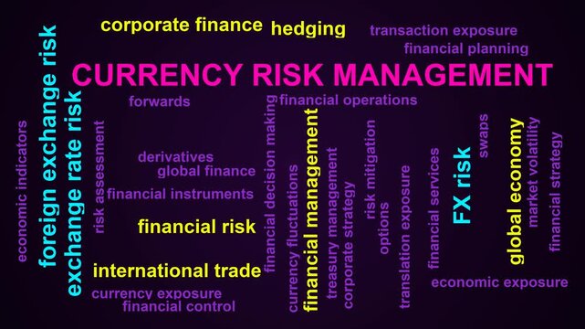 Currency Risk Management Word Cloud