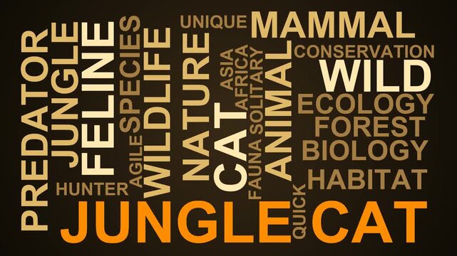 Jungle Cat Word Cloud