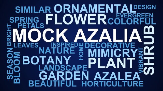 Mock Azalia Word Cloud
