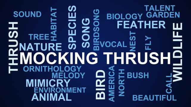 Mocking Thrush Word Cloud