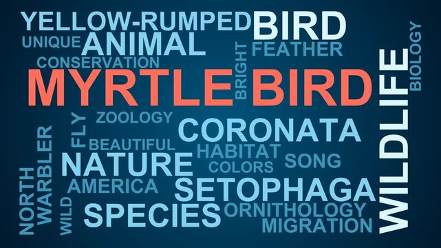 Myrtle Bird Word Cloud