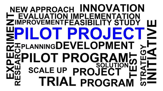 Pilot Project Word Cloud