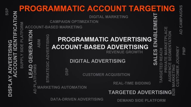 Programmatic Account Targeting Word Cloud
