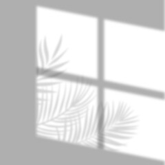 Fototapeta premium Realistic four pane window and tropical palm leaf shadow overlay on transparent background. Shadow effect blur for product mockups, branding, packaging, presentations, and natural background designs