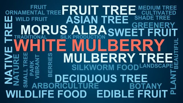 White Mulberry Word Cloud