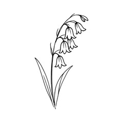Fototapeta premium PNG Minimalist floral line art