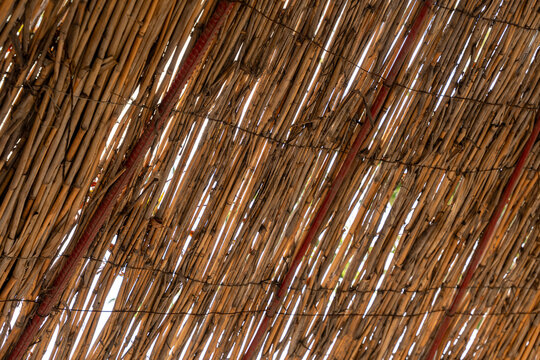 Reed thatch roof background with natural texture, straw canopy pattern for summer eco-friendly concepts.