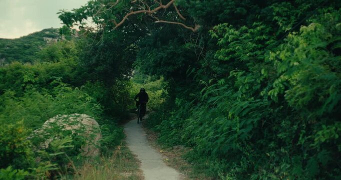 Mountain bike rider cycling along narrow trail through dense green tropical forest, approach along sandy path below tree canopy