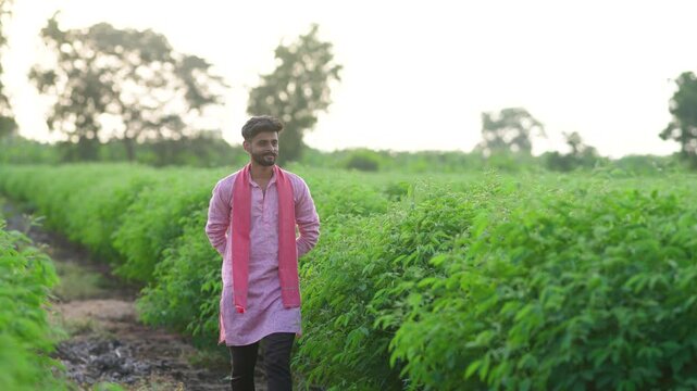 Happy indian farmer walking and observing at pigeon pea agriculture field