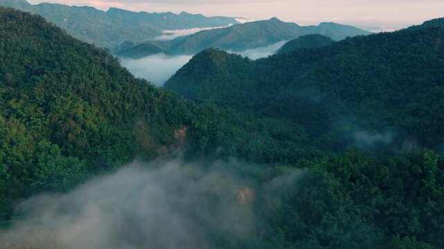 Aerial view of sunrise in the misty forest.