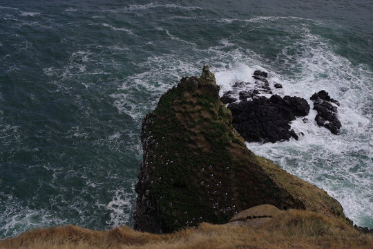 Seabirds nesting on a grassy sea stack above crashing Atlantic waves near Londrangar Snaefellsnes Iceland