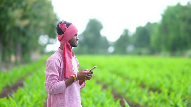 Young indian farmer using smartphone at turmeric agriculture field