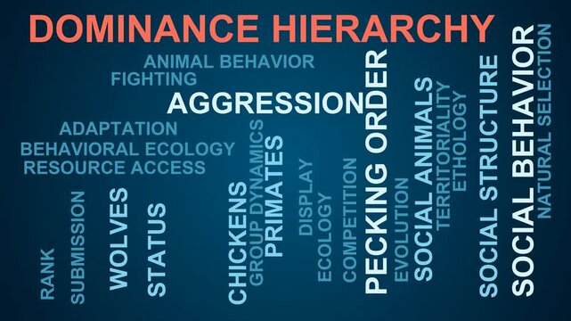 Dominance Hierarchy Word Cloud