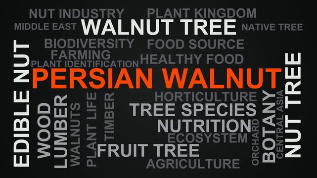 Persian Walnut Word Cloud
