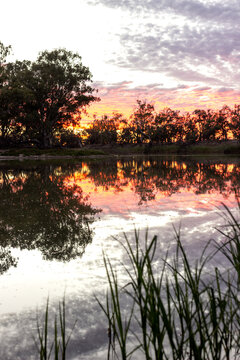 Sunrise reflections on the Murray River