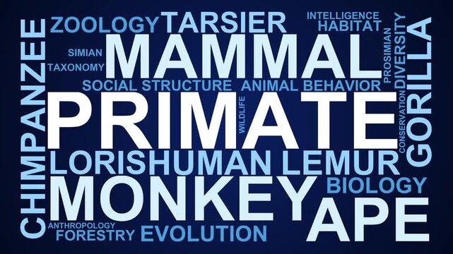 Primate Word Cloud