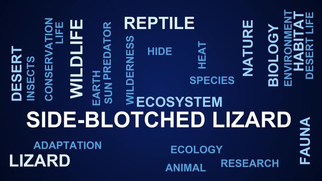 Side-Blotched Lizard Word Cloud
