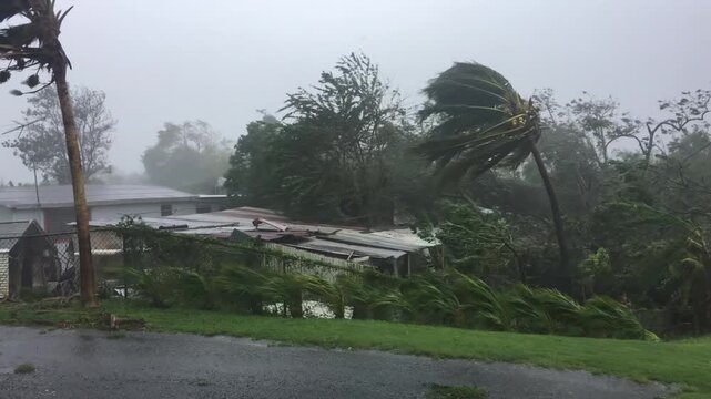 Hurricane battering trees in nature with extreme violence. Extreme weather is exacerbated by climate change.
