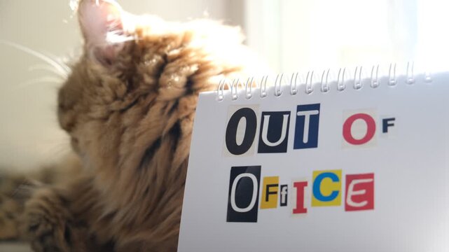 Cute cat sitting next to a notepad with the text &ldquo;Out of Office&rdquo;.  Business relax time concept.  message about work‑life balance. remote work, vacations, mental health. Enjoy a little downtime