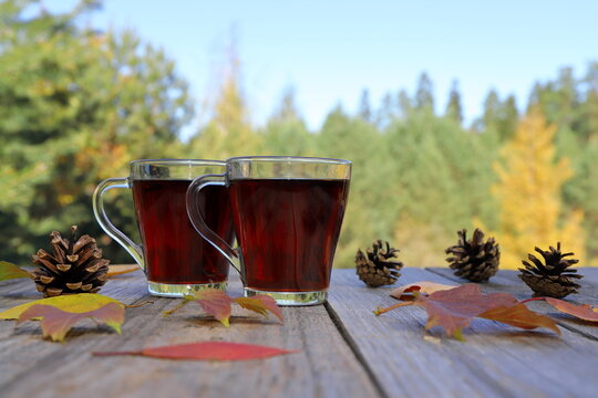 On a wooden table there are a glass mugs of hot black tea amidst foliage and pine cones, surrounded by an autumn forest landscape.