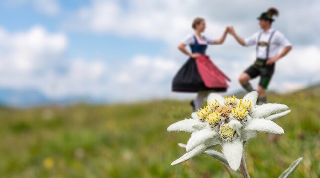 traditional bavarian couple dancing on alpine meadow with edelweiss flower foreground