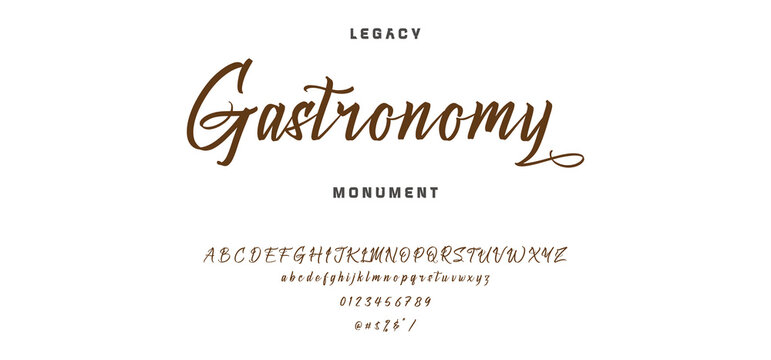 Elegant Script Font Alphabet Typography.