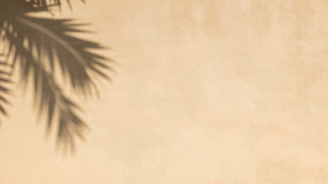 Beige plaster wall with soft palm leaf shadow