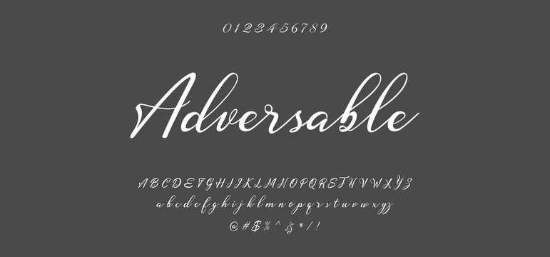 Hand drawn vector alphabet. Modern monoline signature script font. Elegant Signature Font. Best Alphabet Beautiful Calligraphy Signature Font