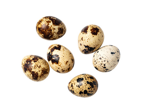 Scattered fresh quail eggs isolated on transparent background, top view