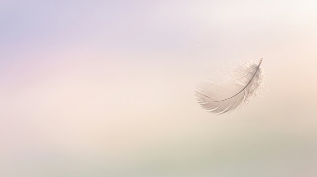 single white feather floating in air against soft pastel sky background copy space