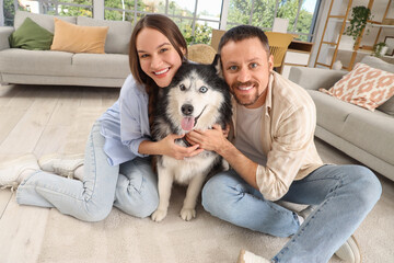 Pet ownership and companionship, happy couple sitting on floor at home with their husky dog, lifestyle and family bonding in modern living room © Pixel-Shot