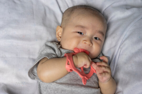 Baby teething and infant oral care concept, cute Asian baby boy in grey clothes chewing pink silicone teether toy with curious eyes, representing pediatric milestones, and baby dental health.