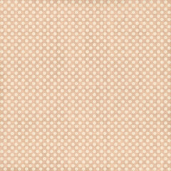 Obraz premium Beige and White Polka Dot Background