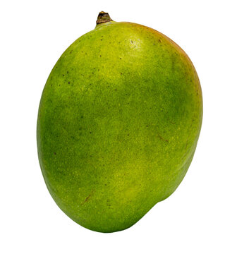 Fresh raw green mango fruit isolated on transparent background, PNG asset