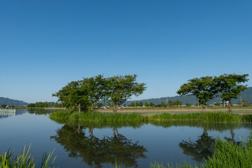 Obraz premium 初夏の小さな湖の美しい風景 晴れた湖面のリフレクション 水鏡 滋賀県草津市 平湖