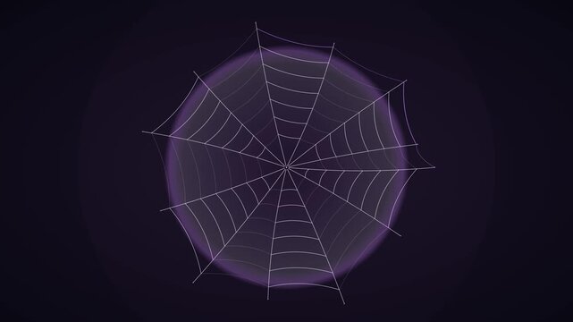 A nearly invisible spider web is physically woven into existence from a central anchor, culminating in a structural tension lock and a living atmospheric state before seamlessly deconstructing.
