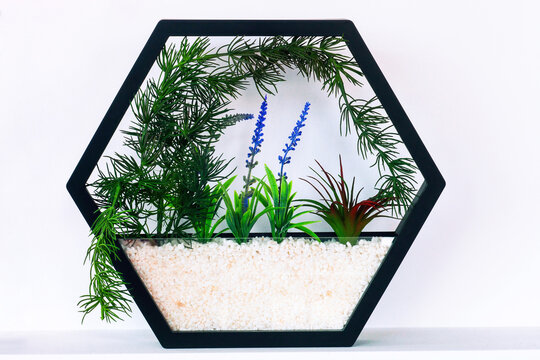 Modern black hexagonal wall planter with artificial green plants, lavender on shelf