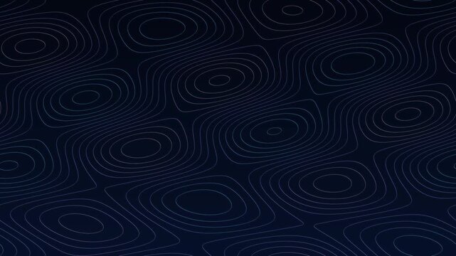 Animated Topographic Contour Lines Seamless Loop