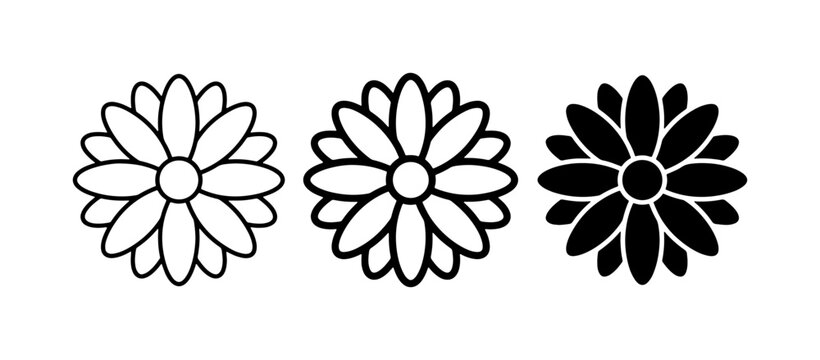 Aster flower icon glyph and solid for logo