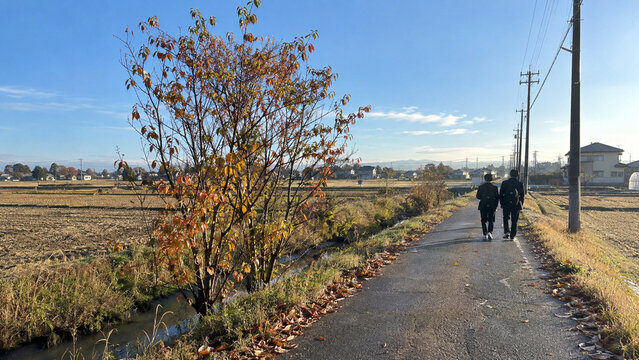 Japanese High School Students Walking to school Late November Morning (rural area with patty fields)