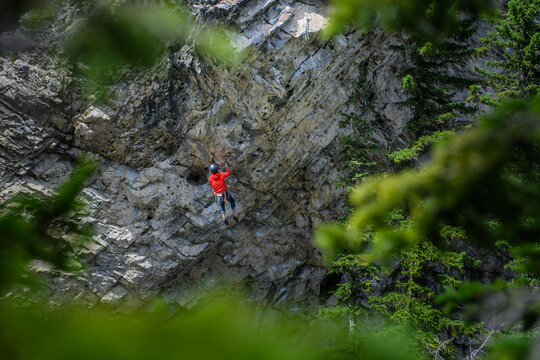 Climber in red on a steep rock face seen through trees