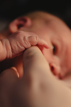 Newborn baby's tiny hand grasping a parent's finger
