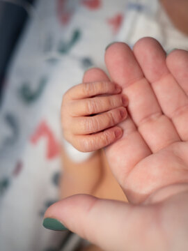 Tiny newborn baby hand gently holds mother's finger