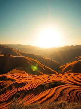 Golden terraces unfold like a canvas beneath the morning sun's warm rays, landscape photography, tourism