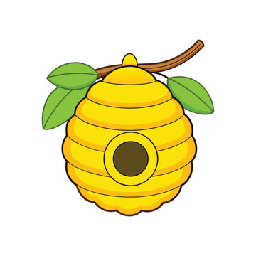 Beehive hanging on tree branch with leaves vector illustration,
