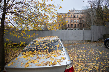 In Kyiv, Ukraine, an autumnal urban scene features a silver car under golden leaves, set against a backdrop of historic brick architecture with decorative cornices and a modern concrete upper © Sodel Vladyslav